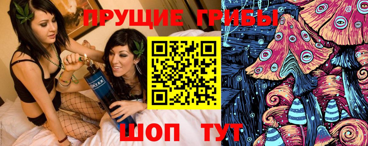 наркотики  Вход с VPN  Дзержинск  Псилоцибиновые грибы Magic Shrooms  Псилоцибиновые грибы мухоморы 